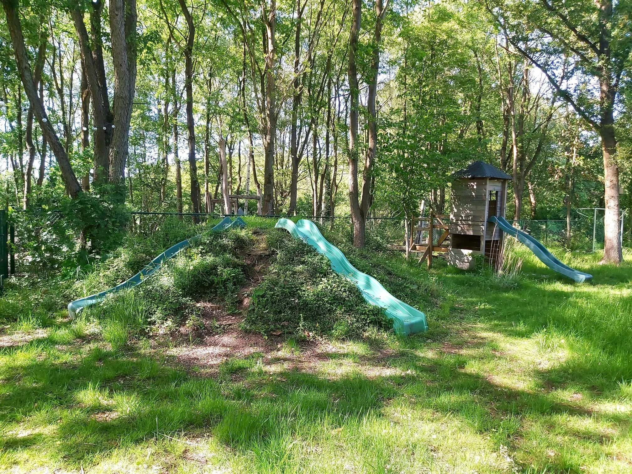 foto20.JPG