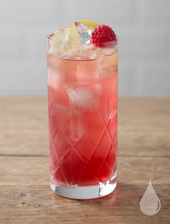 Raspberry Shurb Collins.jpg