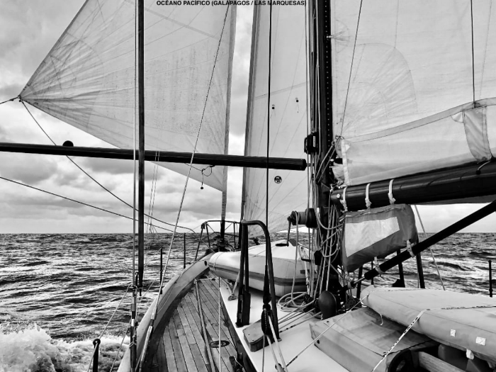 A great B&W picture, down wind with code zero and poled out genoa to windward