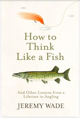 Picture of book cover: How to Think Like a Fish