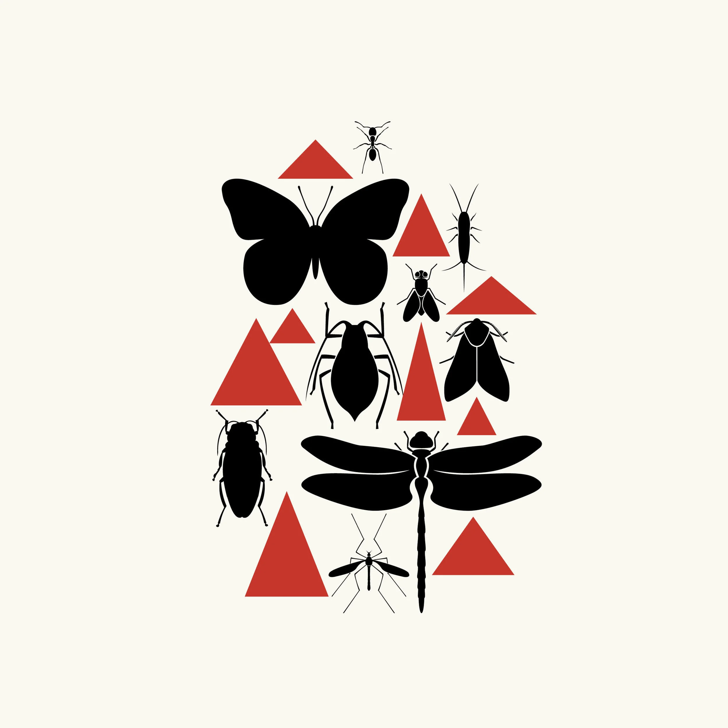 Composició bio 2.jpg