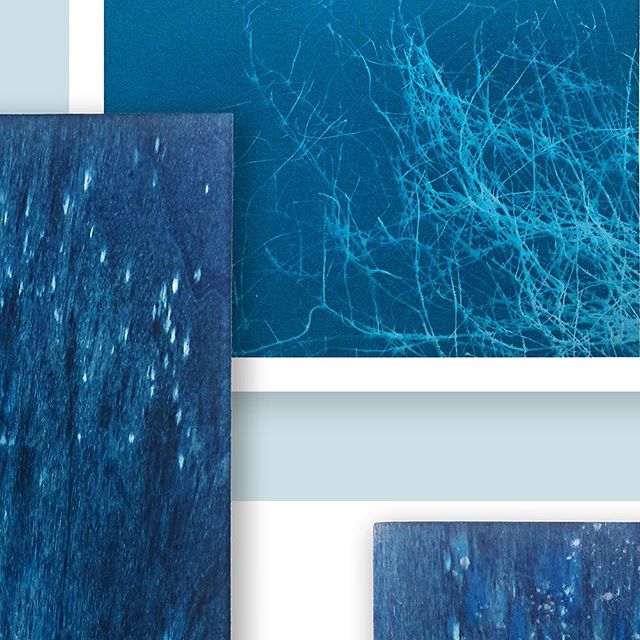 💙 World Cyanotype Day is today 29 September! (Detail 8/9 see profile grid for the full pic) 〰️〰️〰️〰️〰️〰️〰️〰️〰️ Over the past year I have been exploring alternative photographic processes within my domestic environment. Using the sun, a range of ligh