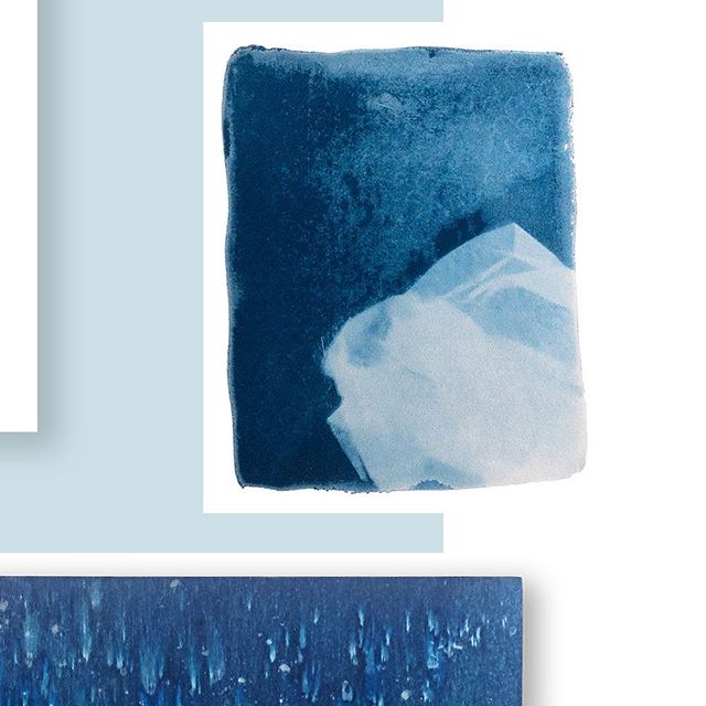 💙 World Cyanotype Day is today 29 September! (Detail 7/9 see profile grid for the full pic) 〰️〰️〰️〰️〰️〰️〰️〰️〰️ Over the past year I have been exploring alternative photographic processes within my domestic environment. Using the sun, a range of ligh
