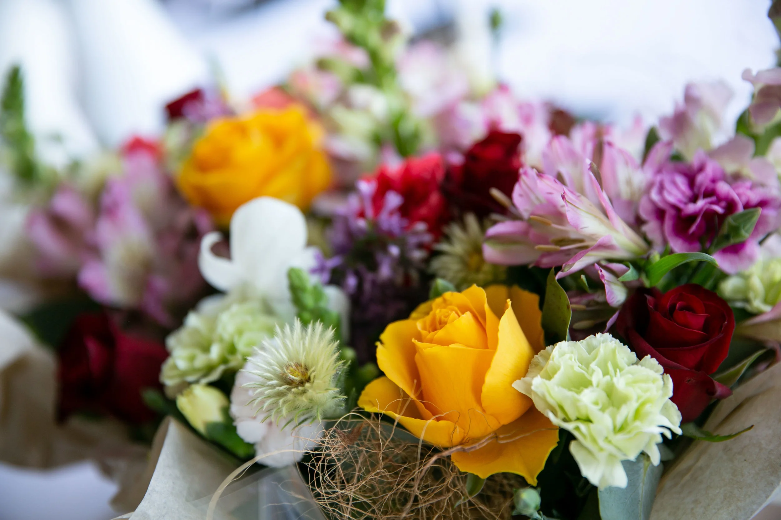 SpringPreview_157.jpg