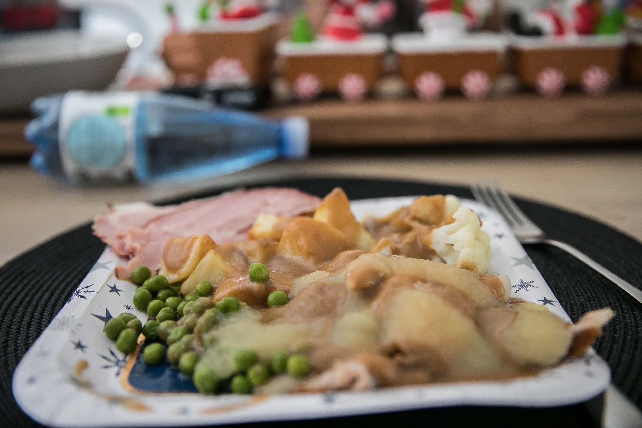 Christmas_2018_068.JPG