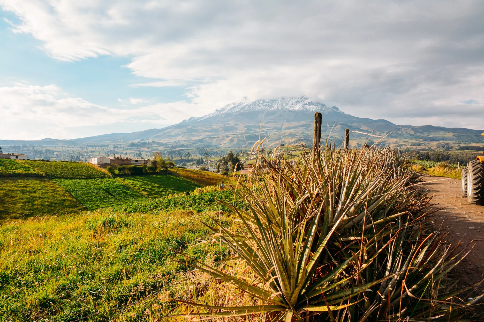 Route à travers champs verts avec le volcan Chimborazo en arrière-plan.