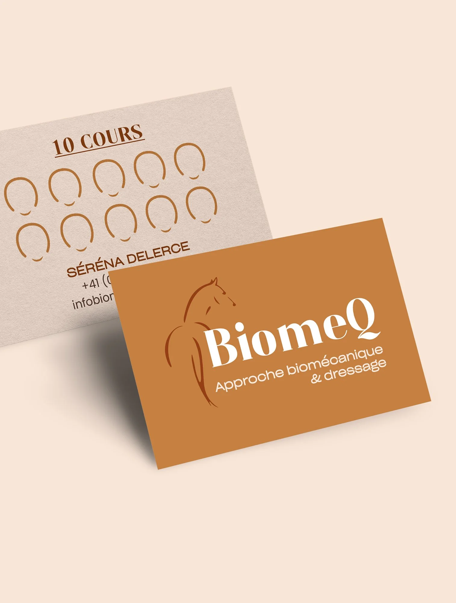 Cover-Portfolio-Biomeq-fitt.jpg