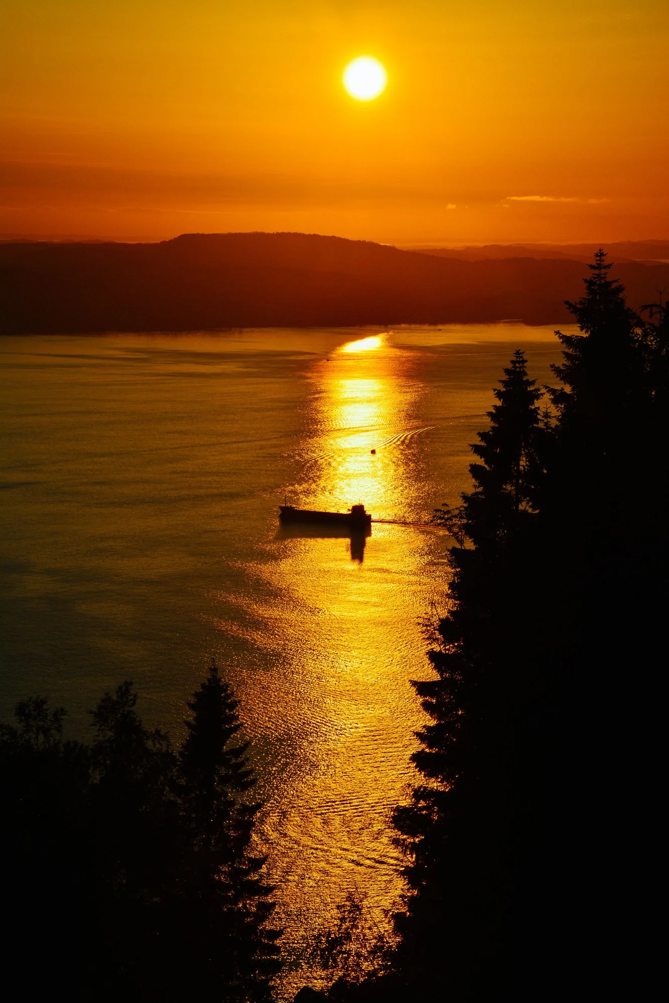 Coucher de soleil sur une rivière avec un bateau, reflet doré sur l'eau, silhouettes d'arbres en premier plan, à Bergen, Norvège.