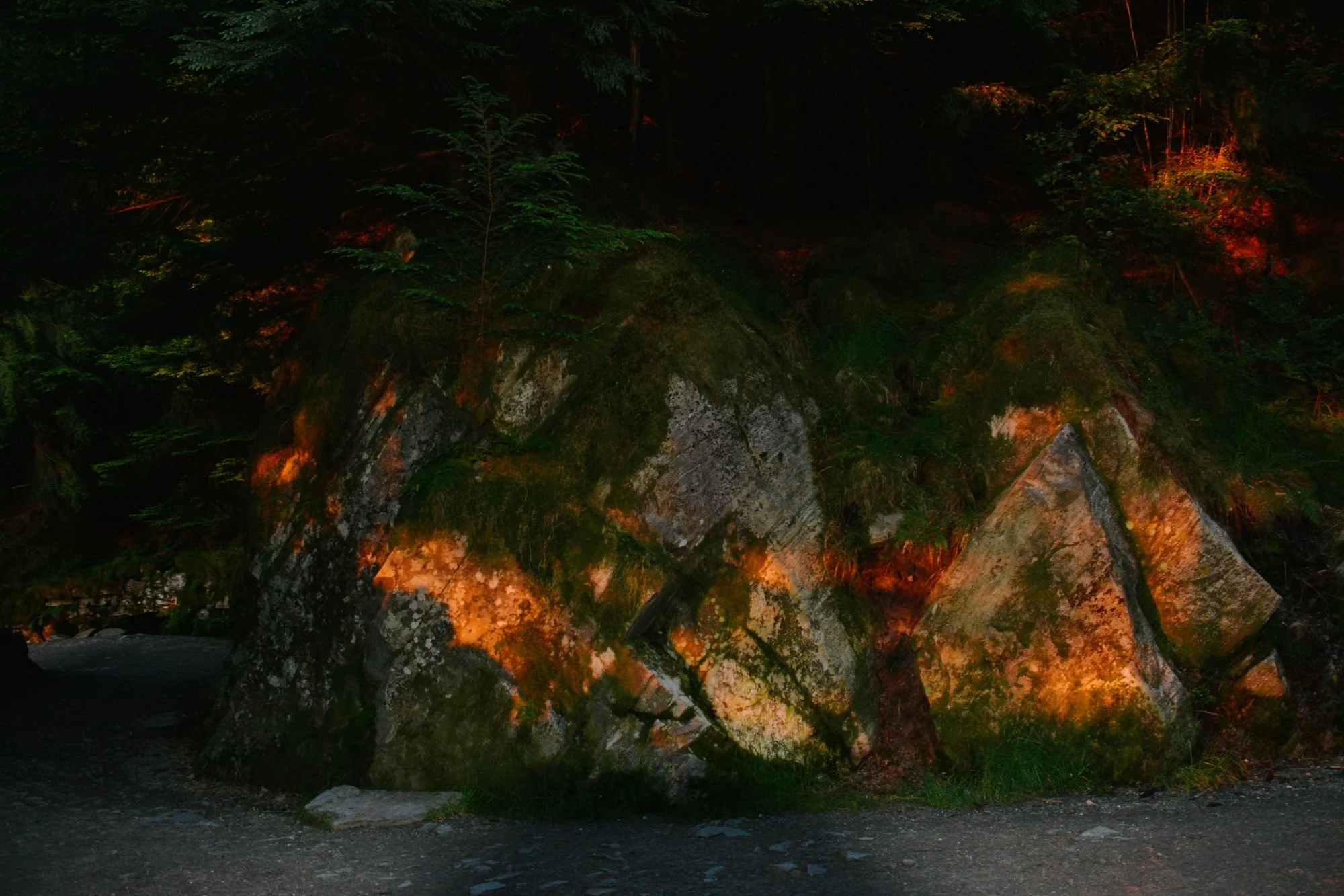 Grosses rochers recouverts de mousse et de végétation dans une forêt sombre, éclairés par une lumière rougeâtre, à Bergen, Norvège.