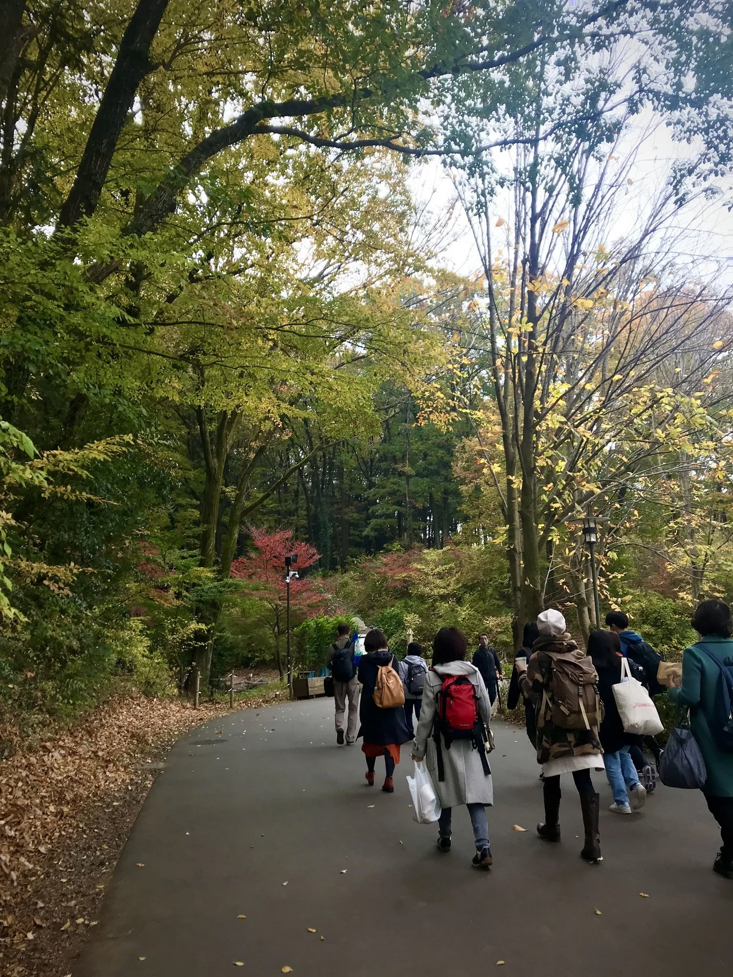 飯能モニターツアー「森林と源流のリトリート 」