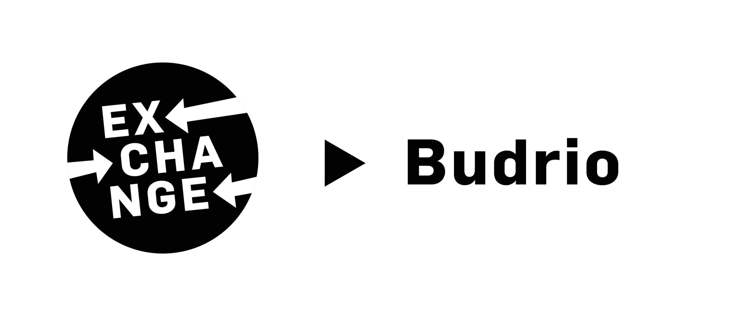 EX2019 BoOvest_logocircle_black.png