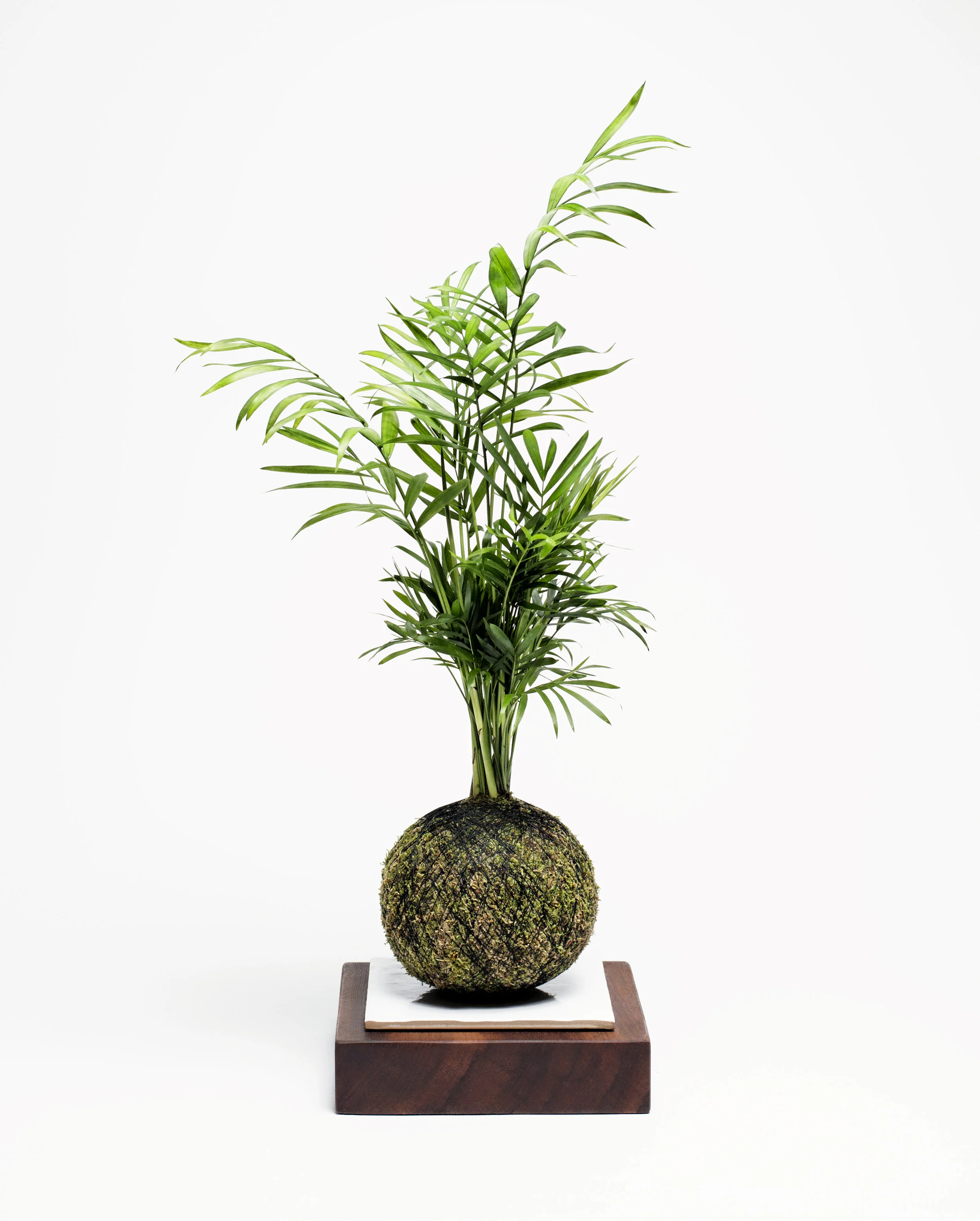 WeSmellTheRain-ACCESSORY-WOODBLOCK-SQUARE-TOCAN-808.jpg