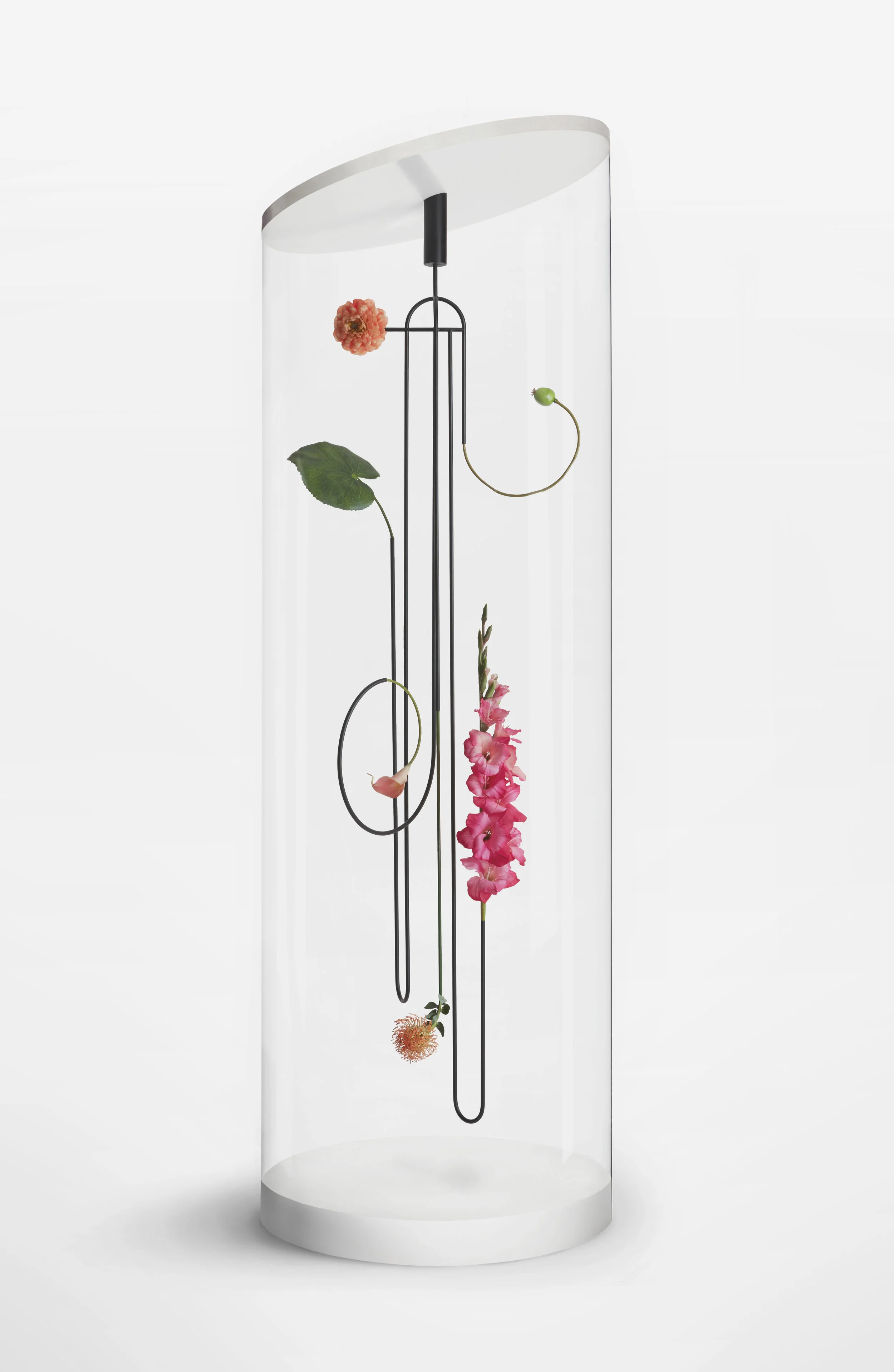 WeSmellTheRain-Installation-GraphicBloom2-LR-RGB-ƒ.jpg