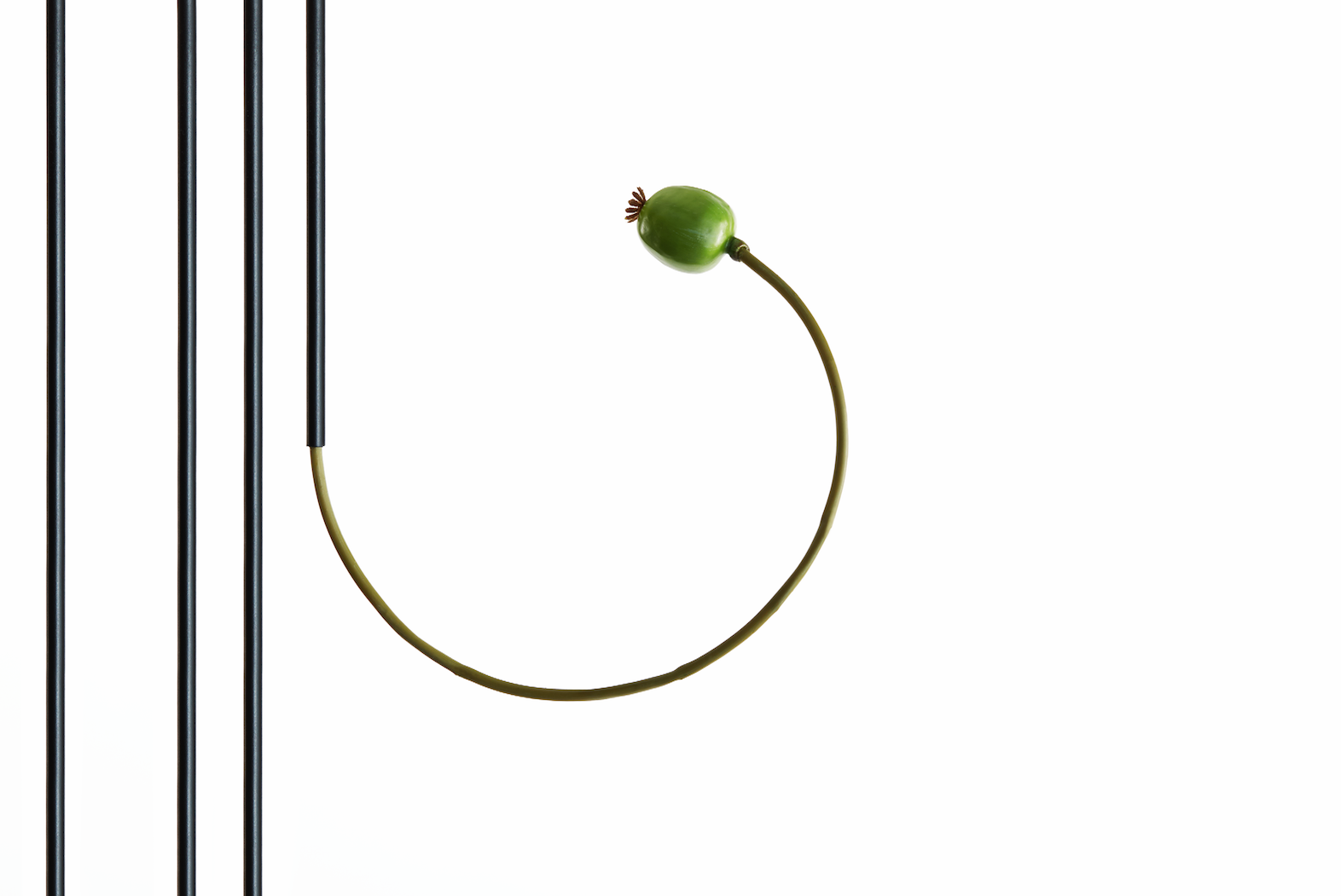 Screen Shot 2017-08-28 at 16.39.50.png