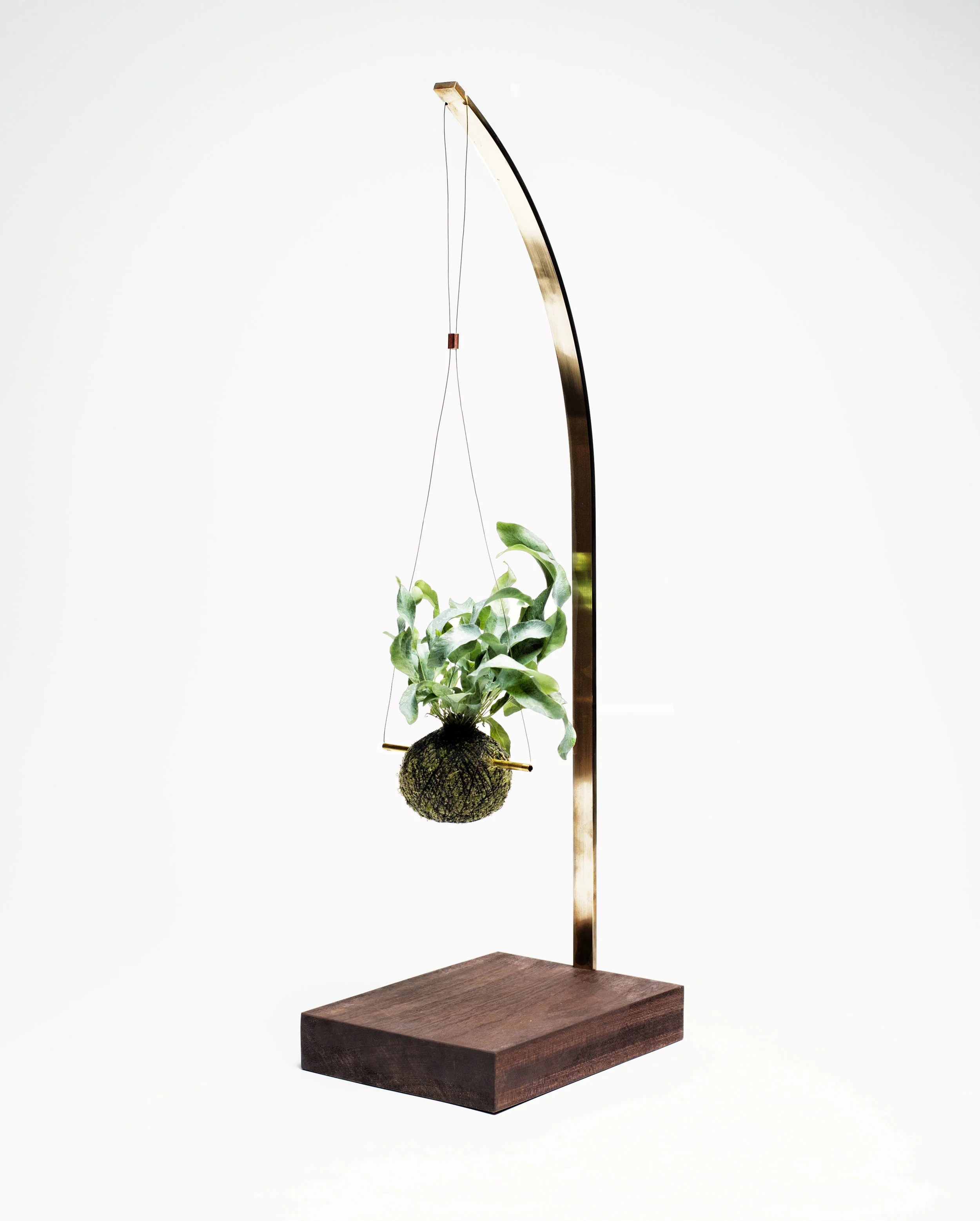 WeSmellTheRain-TABLESTAND-818.jpg