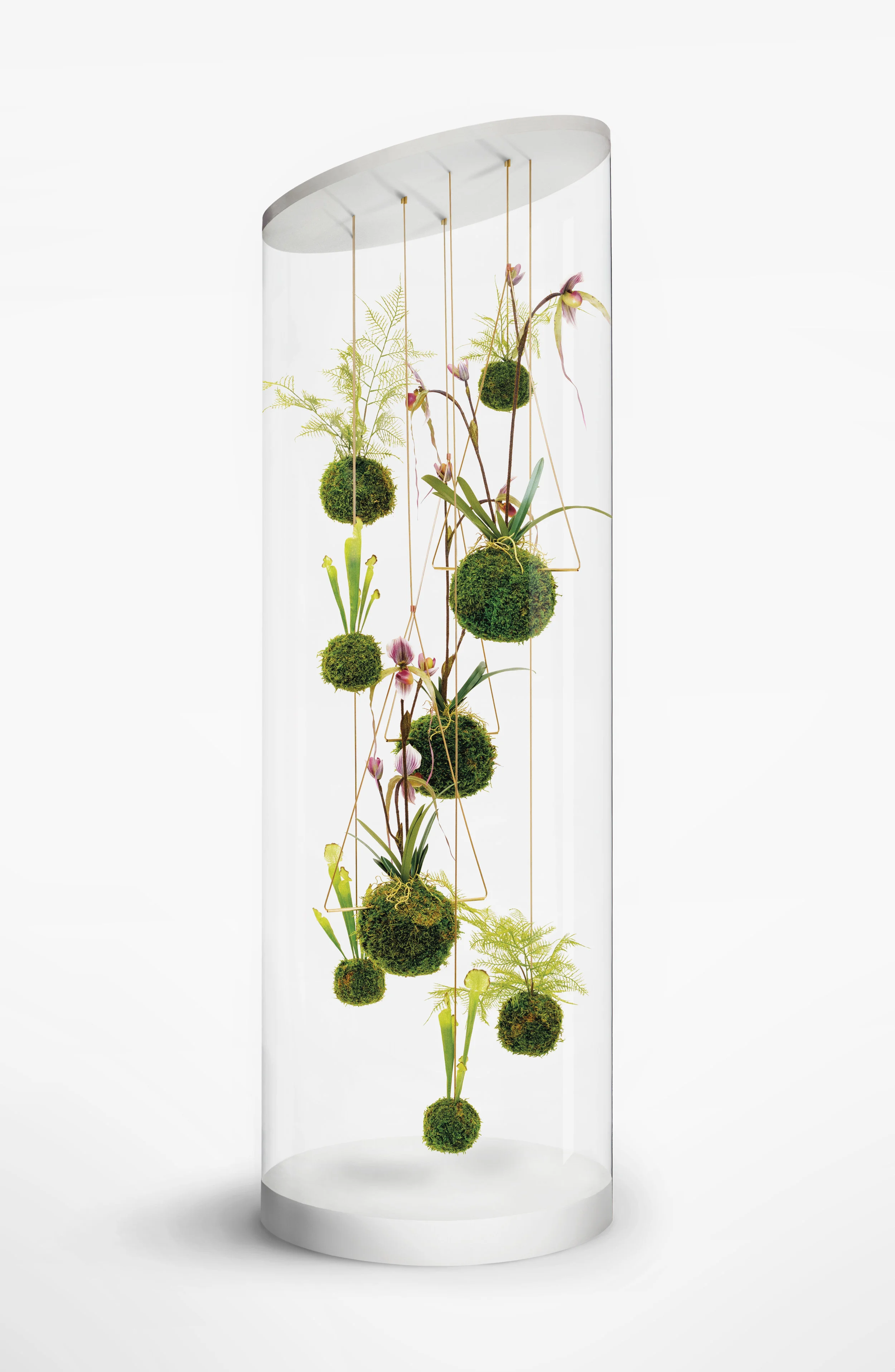 WeSmellTheRain-Installation-PlantCylinderCollection-HR-RGB-ƒ-smler.jpg