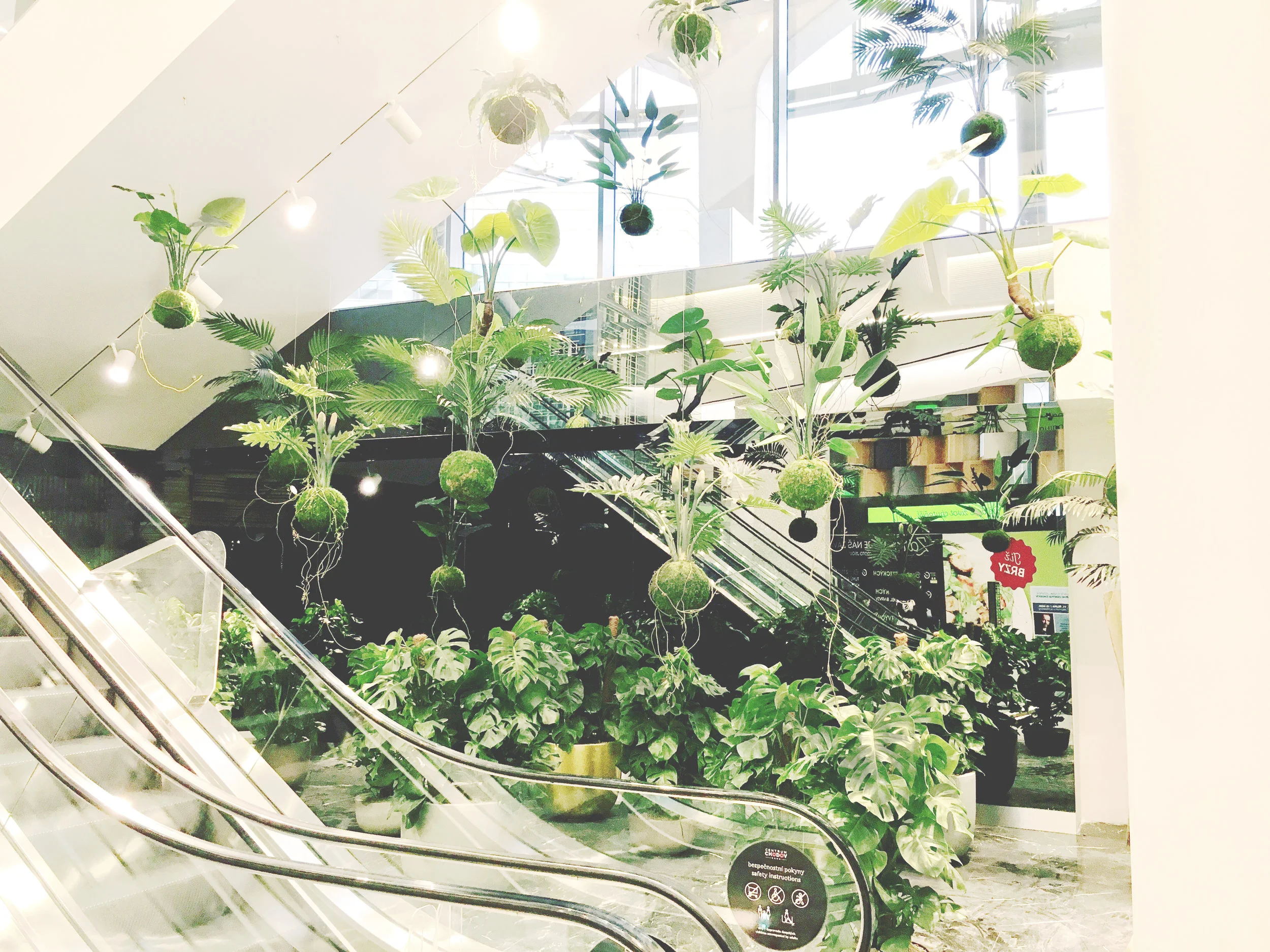WeSmellTheRain_Floating_Kokedama_Graden_Prague-v2.jpg