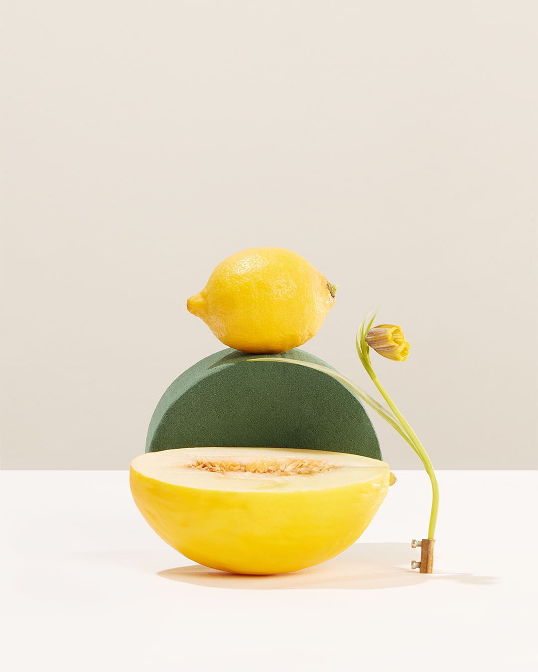 THE LEMON

FRUTTI-TUTTI is a fine art, still life photography collection created and curated by Kyla Elaine and Kim Band.

On the walls in Amsterdam, De School Restaurant and Cafe. From the 22 May - 11 July 2022.

After 15 years of working as profess