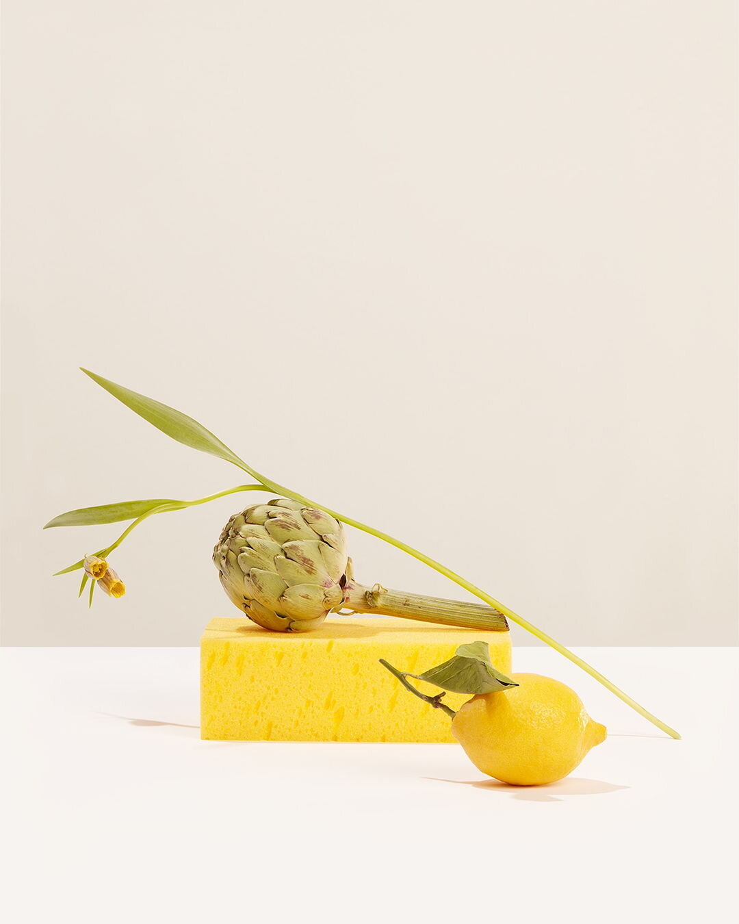 THE ARTICHOKE 

FRUTTI-TUTTI is a fine art, still life photography collection created and curated by Kyla Elaine and Kim Band.

On the walls in Amsterdam, De School Restaurant and Cafe. From the 22 May - 11 July 2022.

After 15 years of working as pr