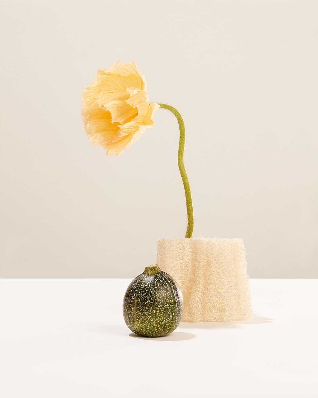 THE SQUASH

FRUTTI-TUTTI is a fine art, still life photography collection created and curated by Kyla Elaine and Kim Band.

On the walls in Amsterdam, De School Restaurant and Cafe. From the 22 May - 11 July 2022.

After 15 years of working as profes