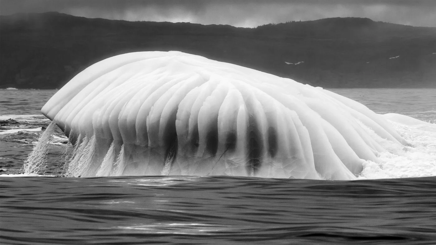 “ Iceberg ”, by Geoff Whiteway