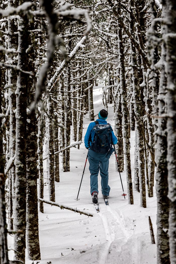 "A Ski in the Park" by TA Loeffler