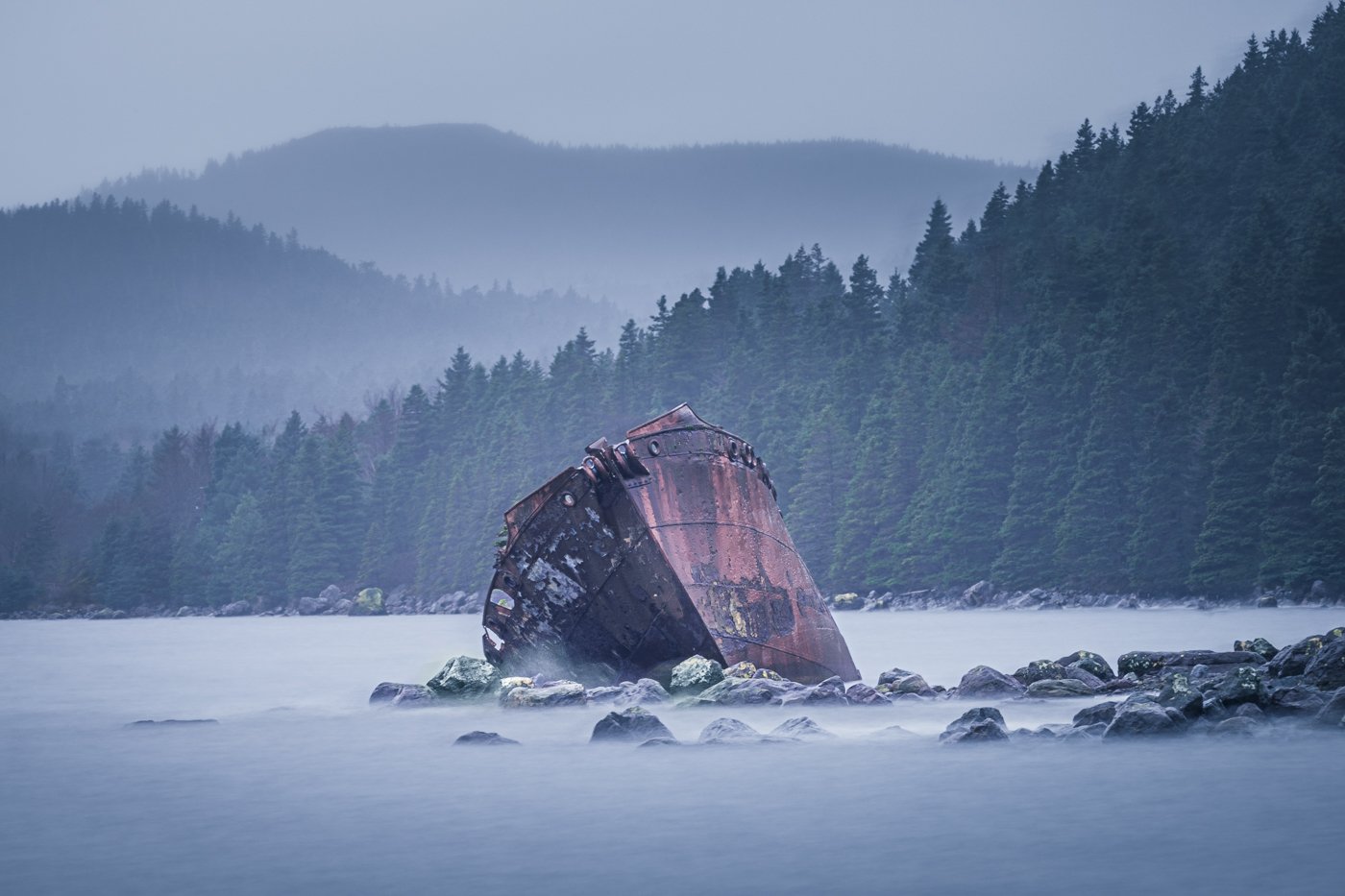 "A Dark Reminder of the Cruelty of Whale Hunts" by David Brophy