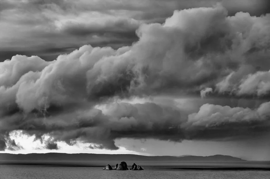 CAPA 2026 Fine Art Selections are In!

Jerry Curtis - Batten Down the Hatches 

Paul Nicol - Iceberg resting in time

Trevor Wragg - Tiny Dancer with Big Dreams (My First Tutu)

David Brophy - An Altar Left to the Sea 

Joe Chase - Spooked Starlings
