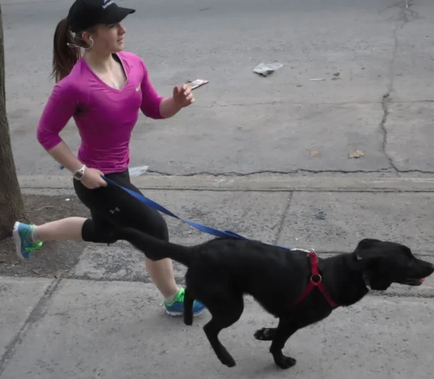 Sortie course avec entraîneur-chien personnel