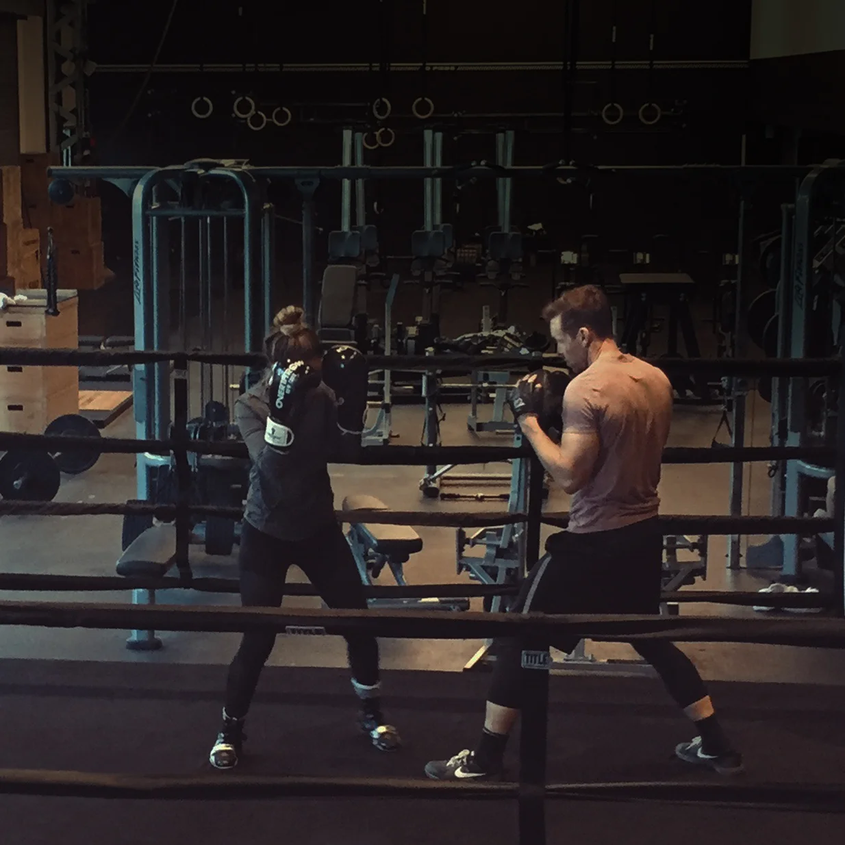 BOXE_RING_YAN_SJL_3.jpg