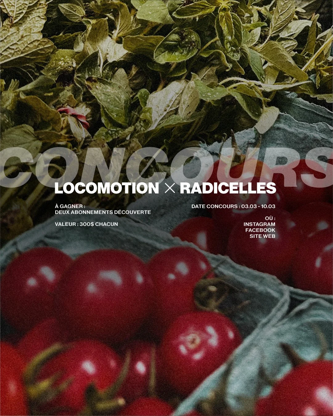 Concours Ferme les Radicelles