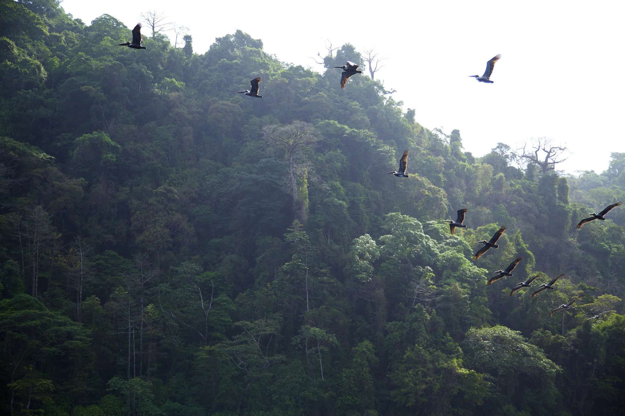  Written in collaboration with Ken and Jeff Whiting. The Artists for Conservation Africa expedition was an honour to write, direct and edit. 