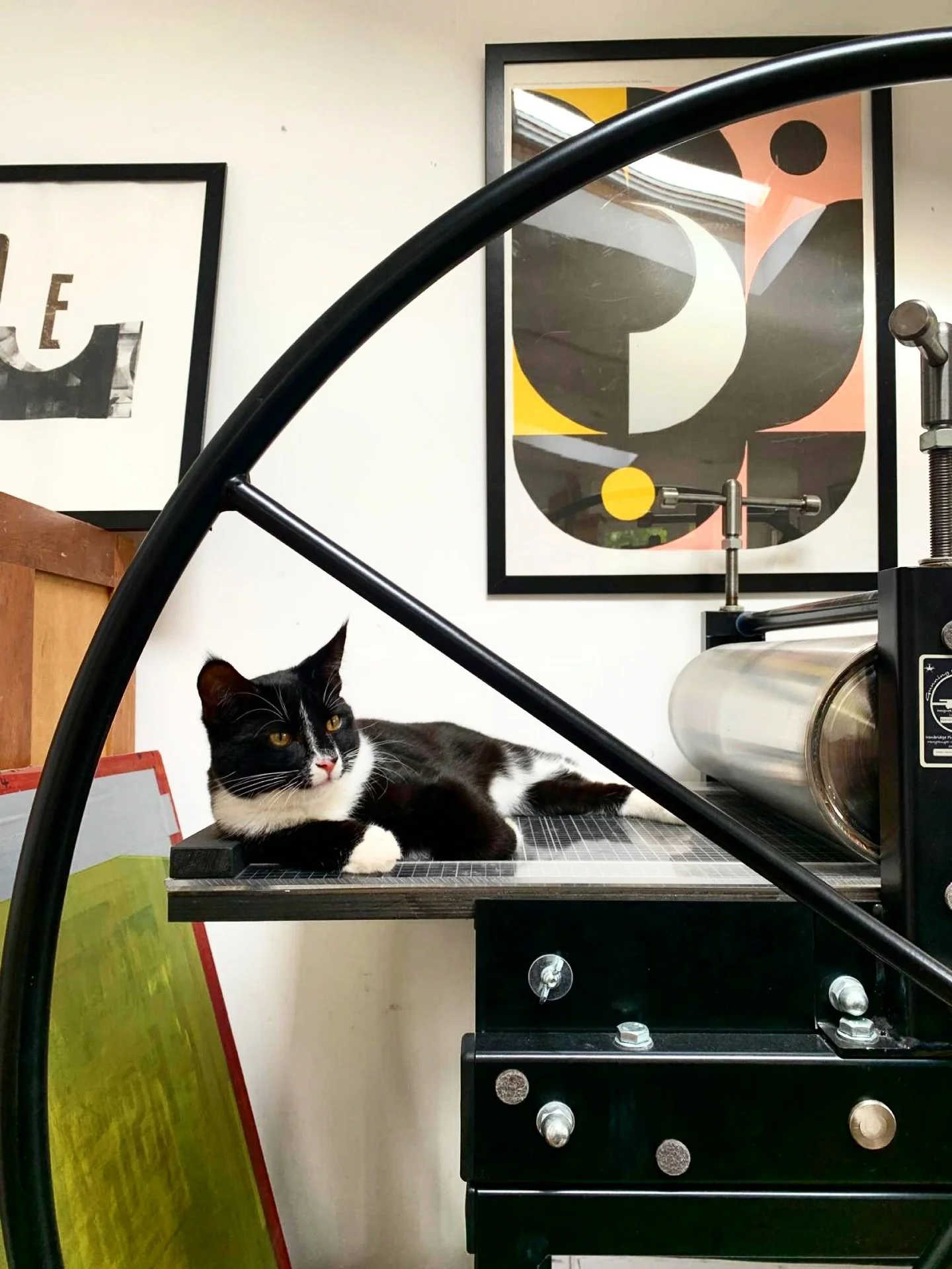 Studio Cat&hellip;.! Our new cat Bruno (technically a kitten but already cat-size) is keeping us company as we work on the upcoming issue of the magazine. He is getting more use out of my lovely @ironbridgefinearts Gunning press than I am at the mome