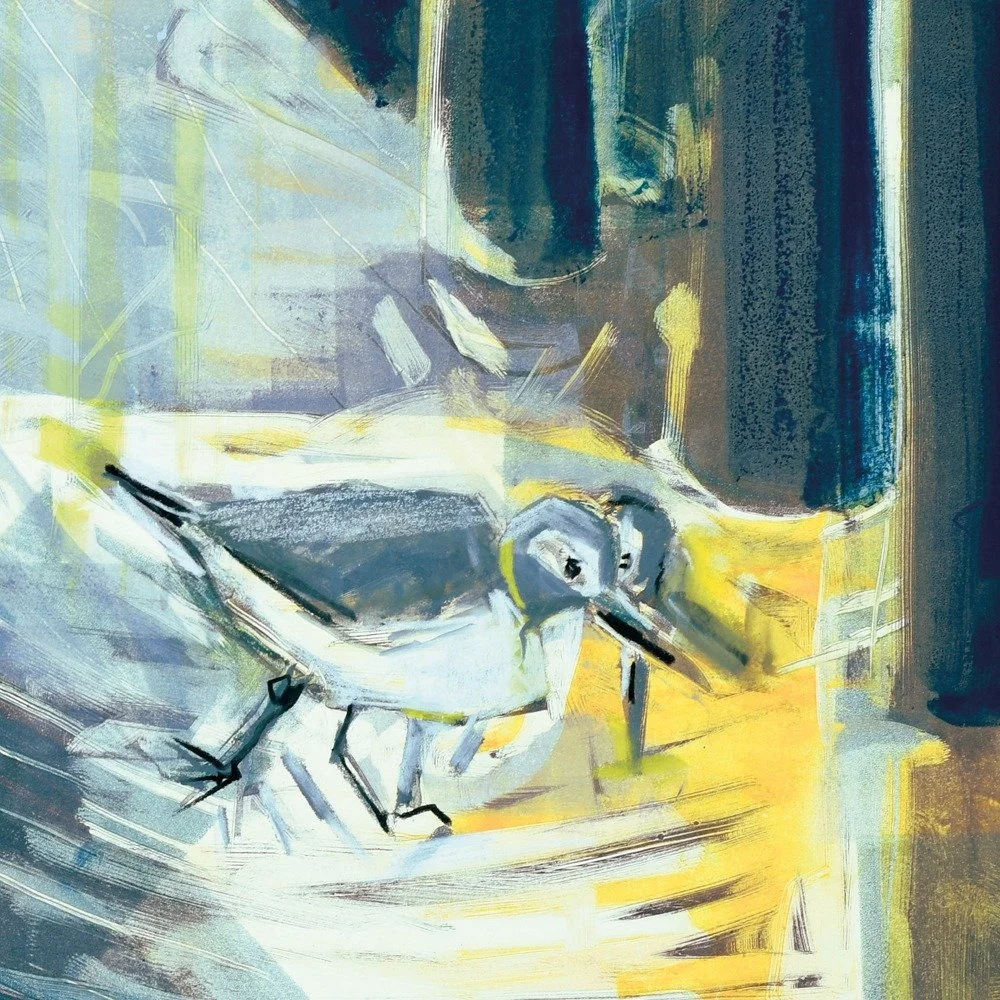 From the windswept coastlines of Scotland, artist and educator @kittiejonesart captures the wild energy of nature in her drawings, screenprints and monotypes. &ldquo;I always start by making drawings on location, in places that catch my eye where the