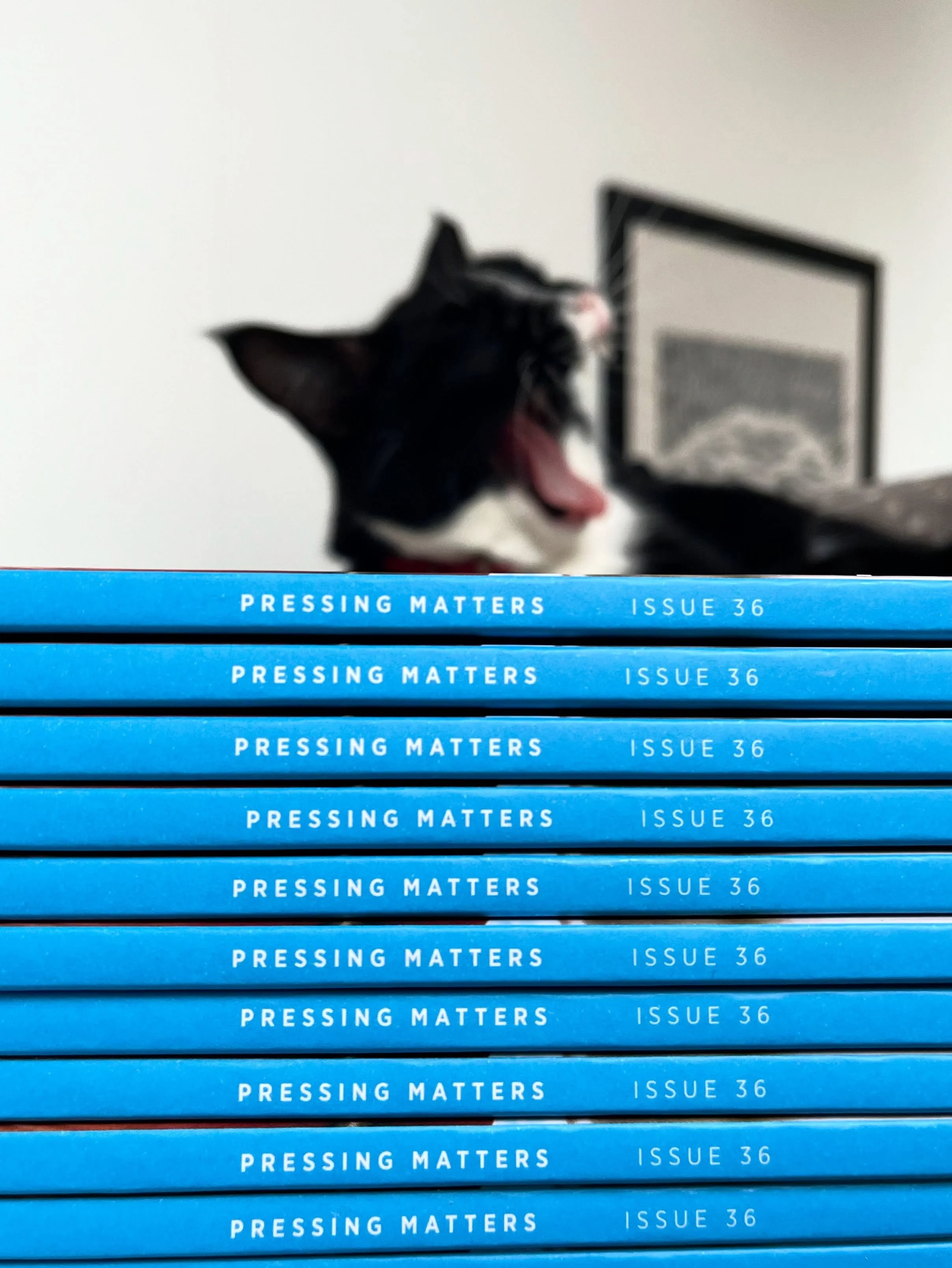 Just jumping on to say that our new edition, Issue 36, is out this Wednesday 28th October. Currently packing up wholesale orders for stockists and checking over the subscribers list for our mailing house. I&rsquo;ll be getting the new issue online on
