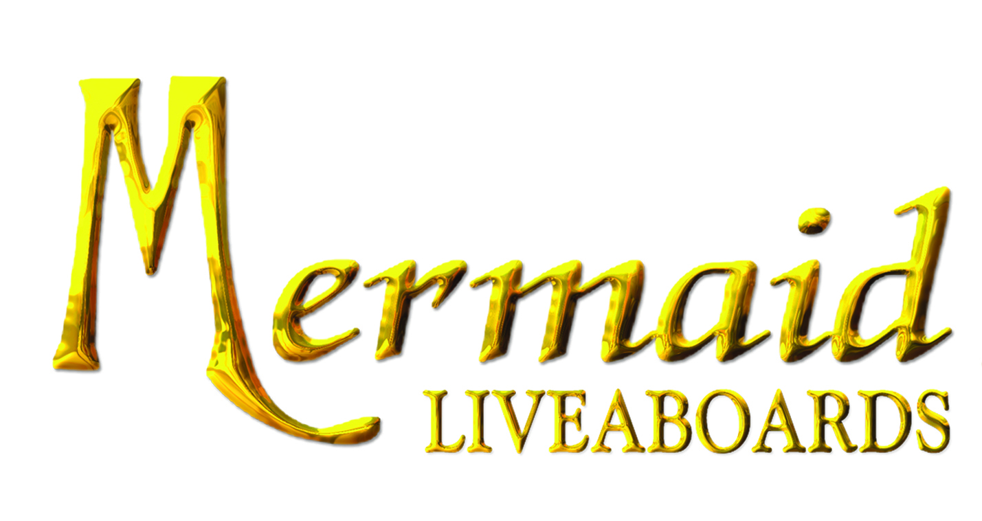 Mermaid Logo Hi Res.jpg