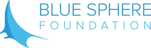 blueSphereFoundation.png