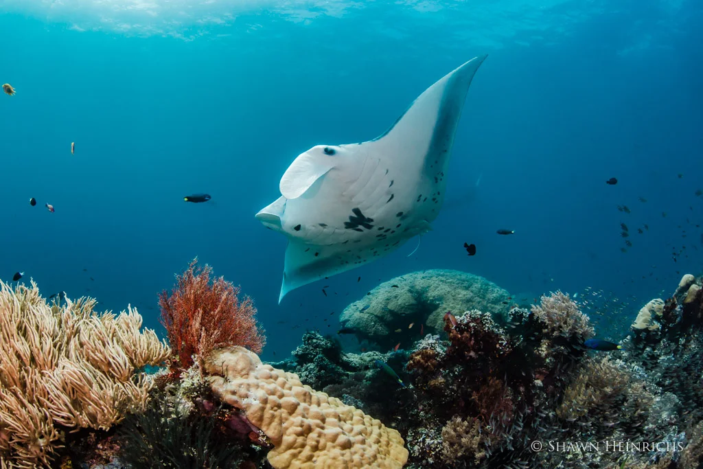 ShawnHeinrichs-20161212-123710-_B4V7117-Edit.jpg