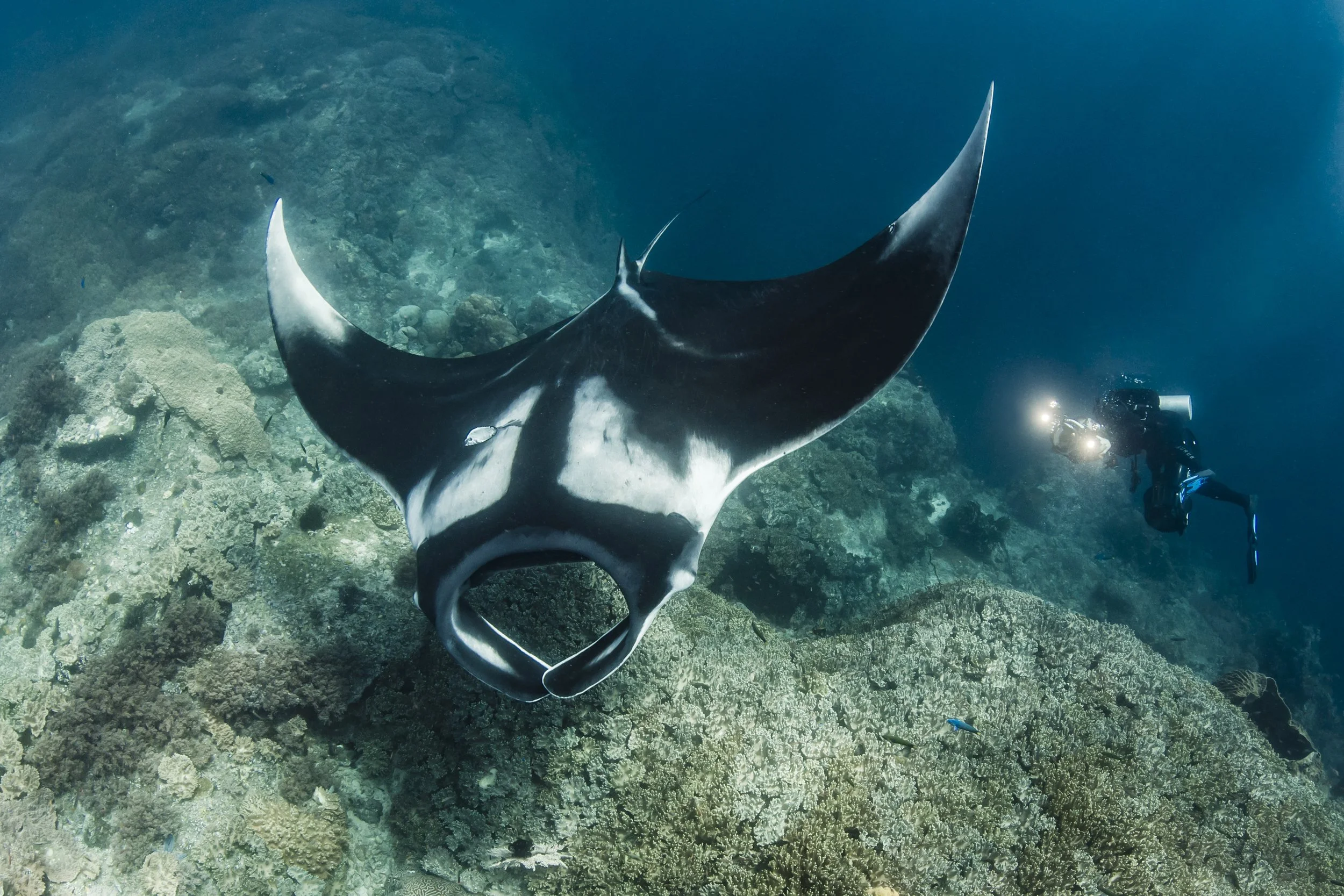 Shawn Heinrichs (16).jpg