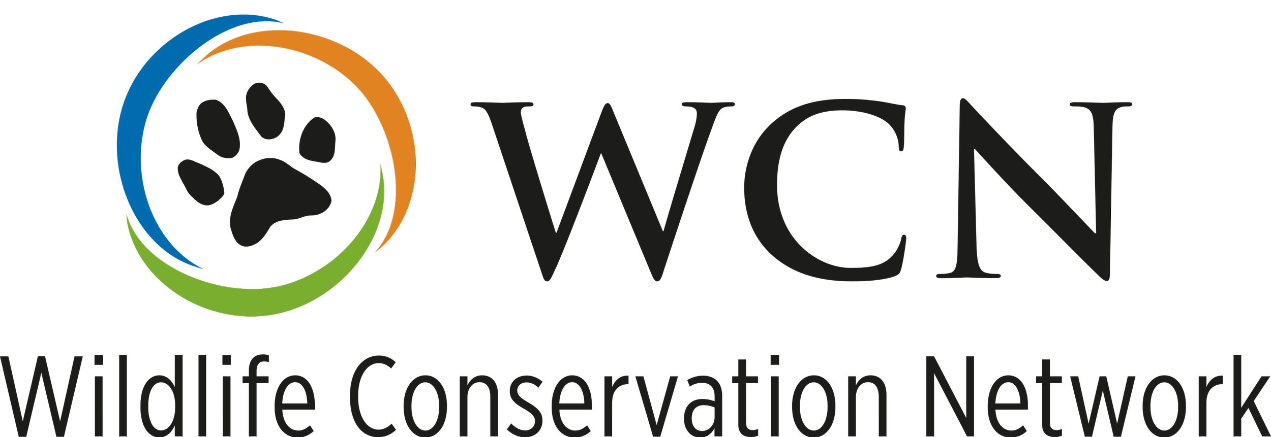 WCN_Logo+Center_transparent.jpg