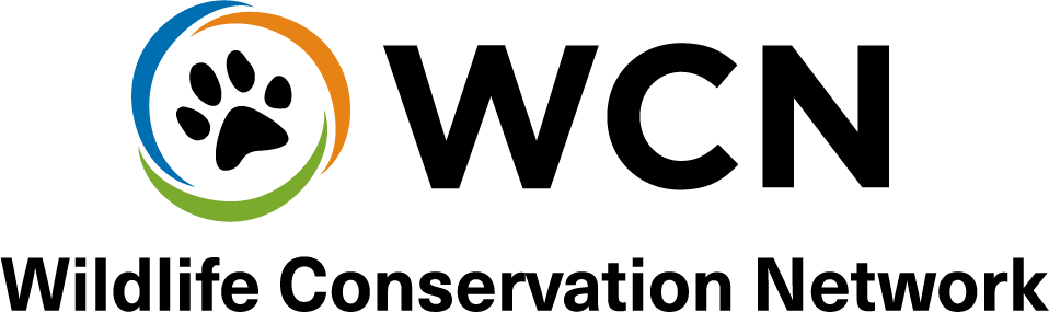 WCN 2026 logo_centered-color+black-web.png