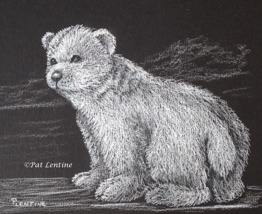 polar-bear.jpg
