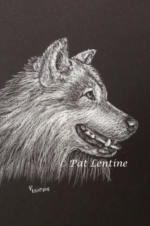 wolf-2.jpg