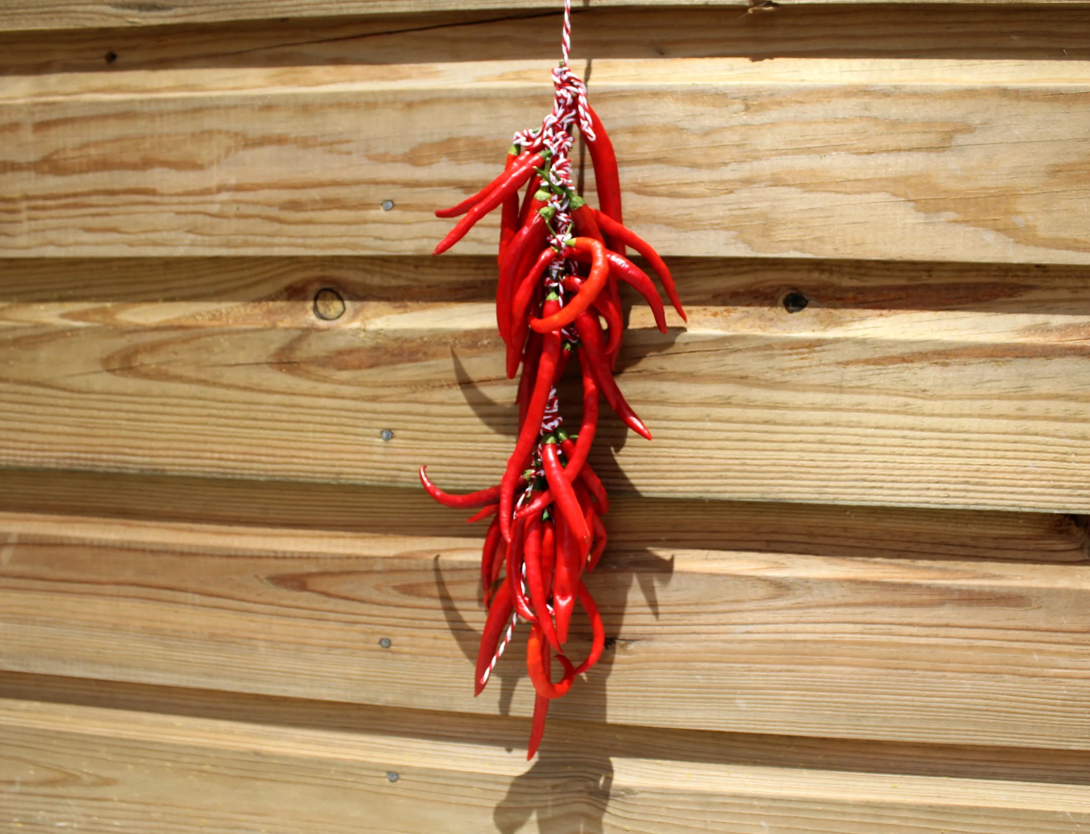 You can hang them outside to dry in the sun, or hang them in your house for some beautiful edible decoration!