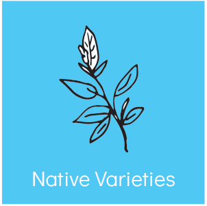 nativevarieties.jpg