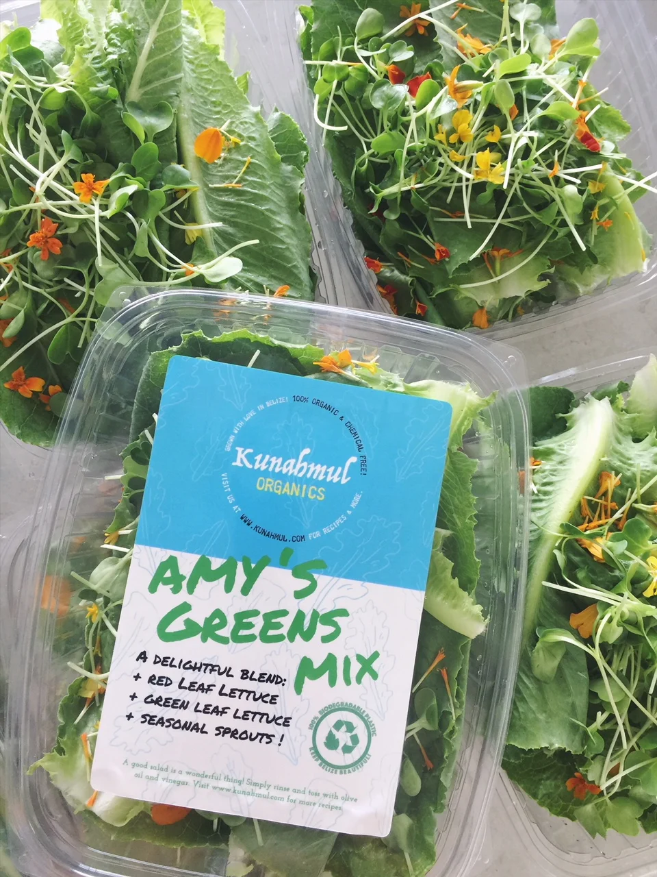      

 
   Check Save U Supermarket (Belize City), The Greenhouse (San Pedro), Super Buy (San Pedro) and The Dreaded Grape (Caye Caulker) for our salad mixes and other organic offerings! 
 






















     