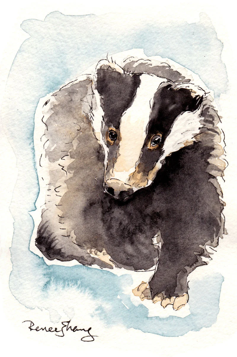 The Badger