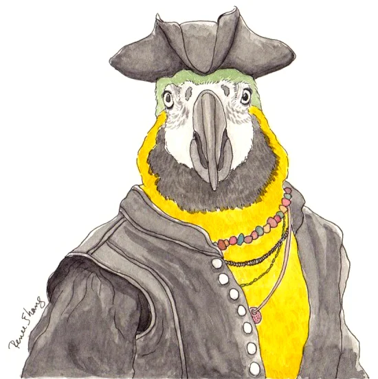 Parrot Pirate