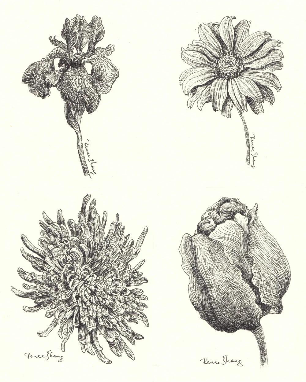 Group of 4 Flowers