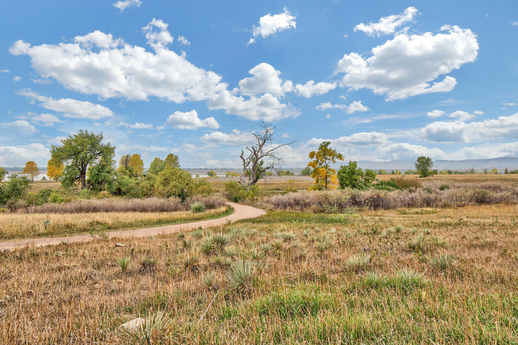 10283 Robb St Westminster CO-028-27-Neighborhood-MLS_Size.jpg